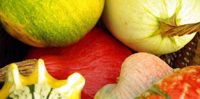 courges courges